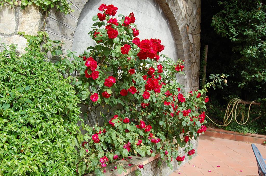 Villa Romita SantʼAgata sui Due Golfi Exterior foto